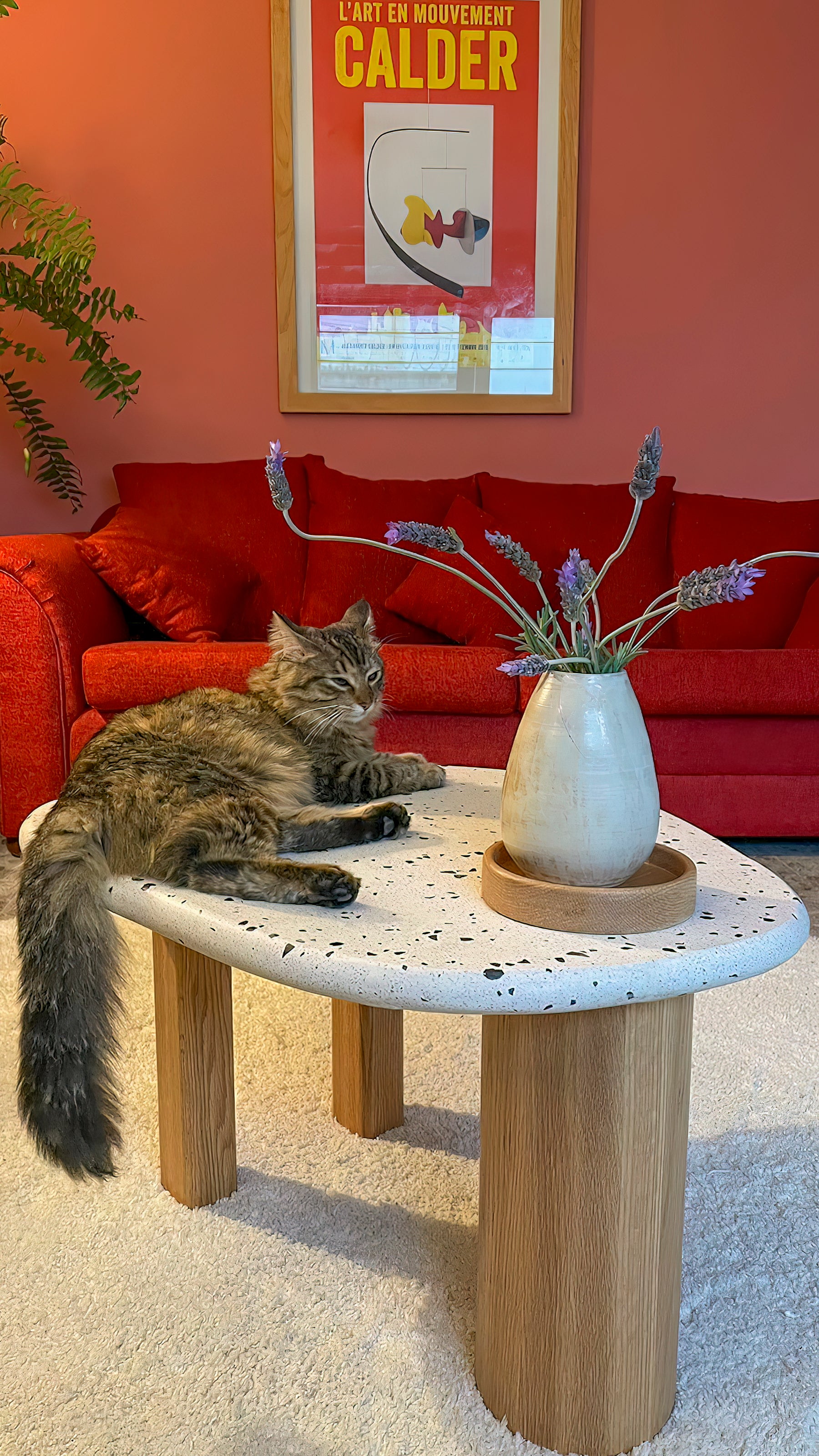 Durango Coffee Table