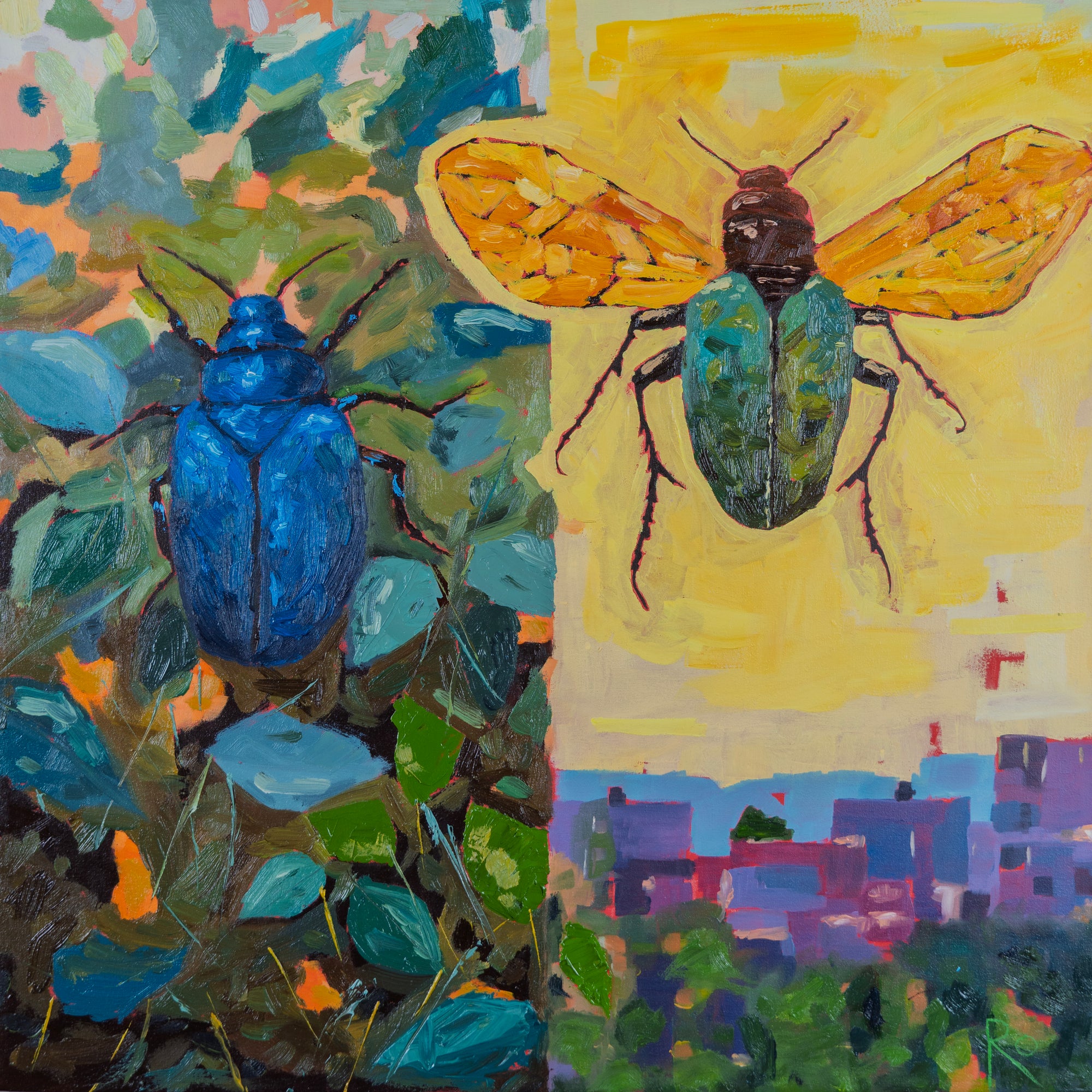 ESCARABAJOS DISECADOS