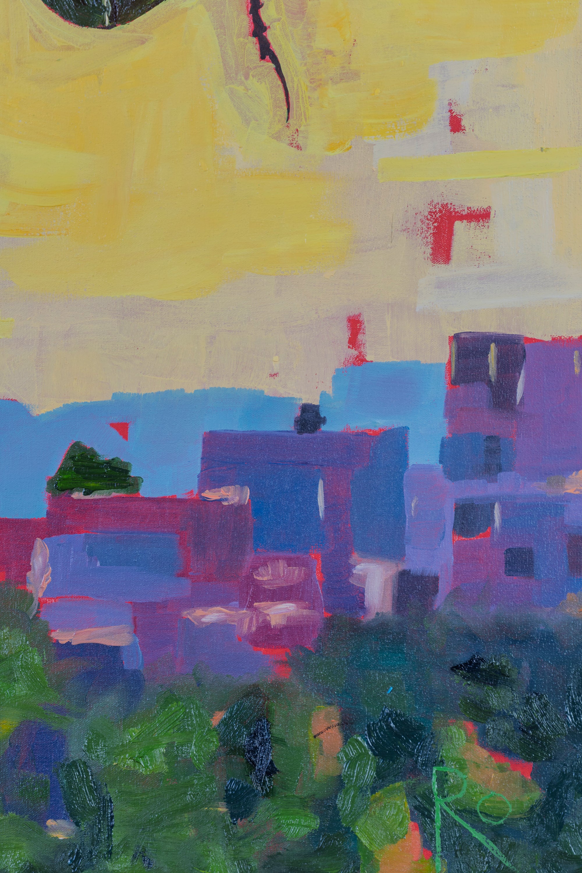 ESCARABAJOS DISECADOS