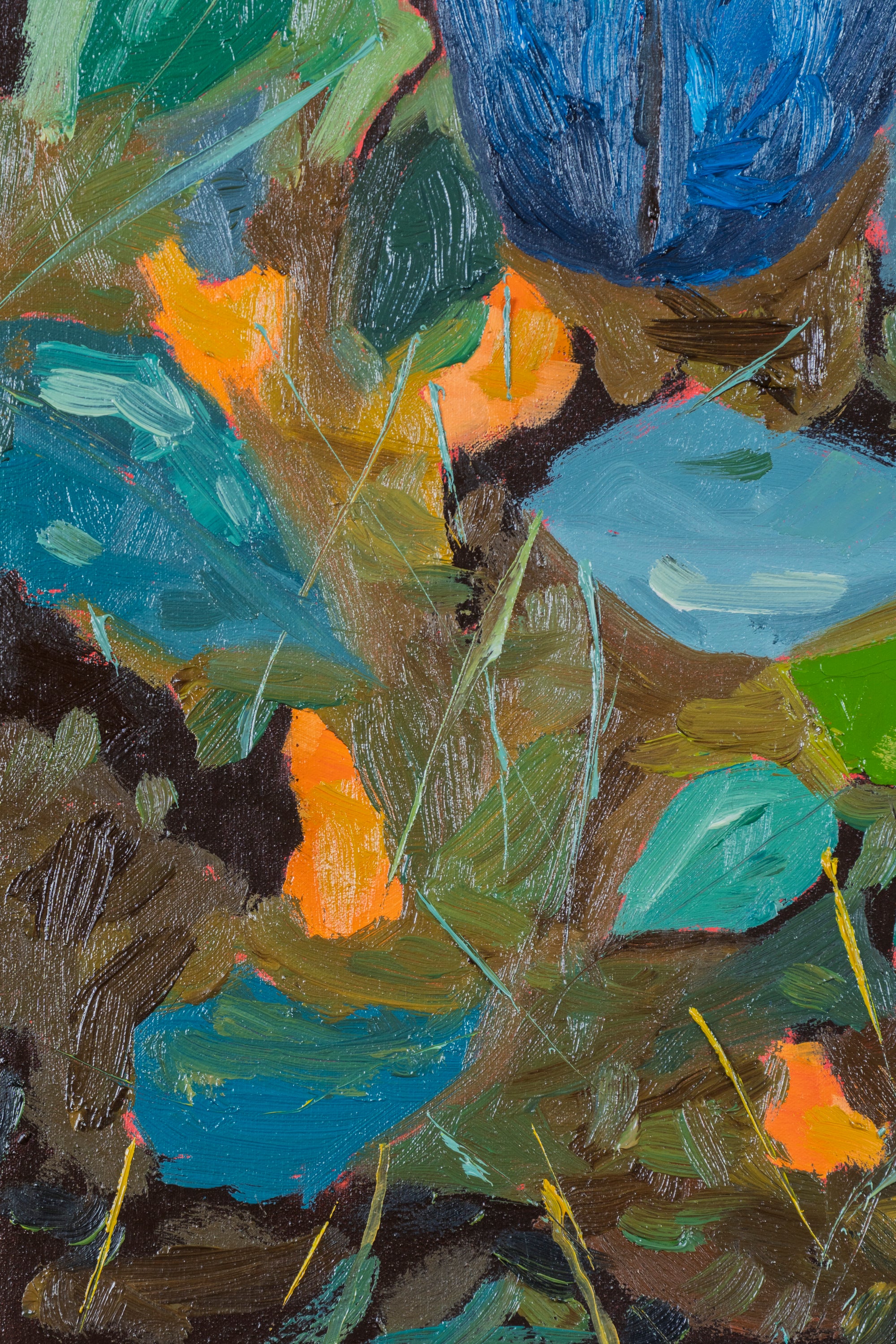 ESCARABAJOS DISECADOS